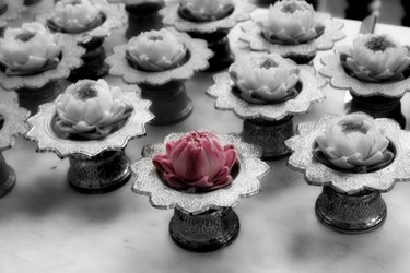 IMG_2342.JPG